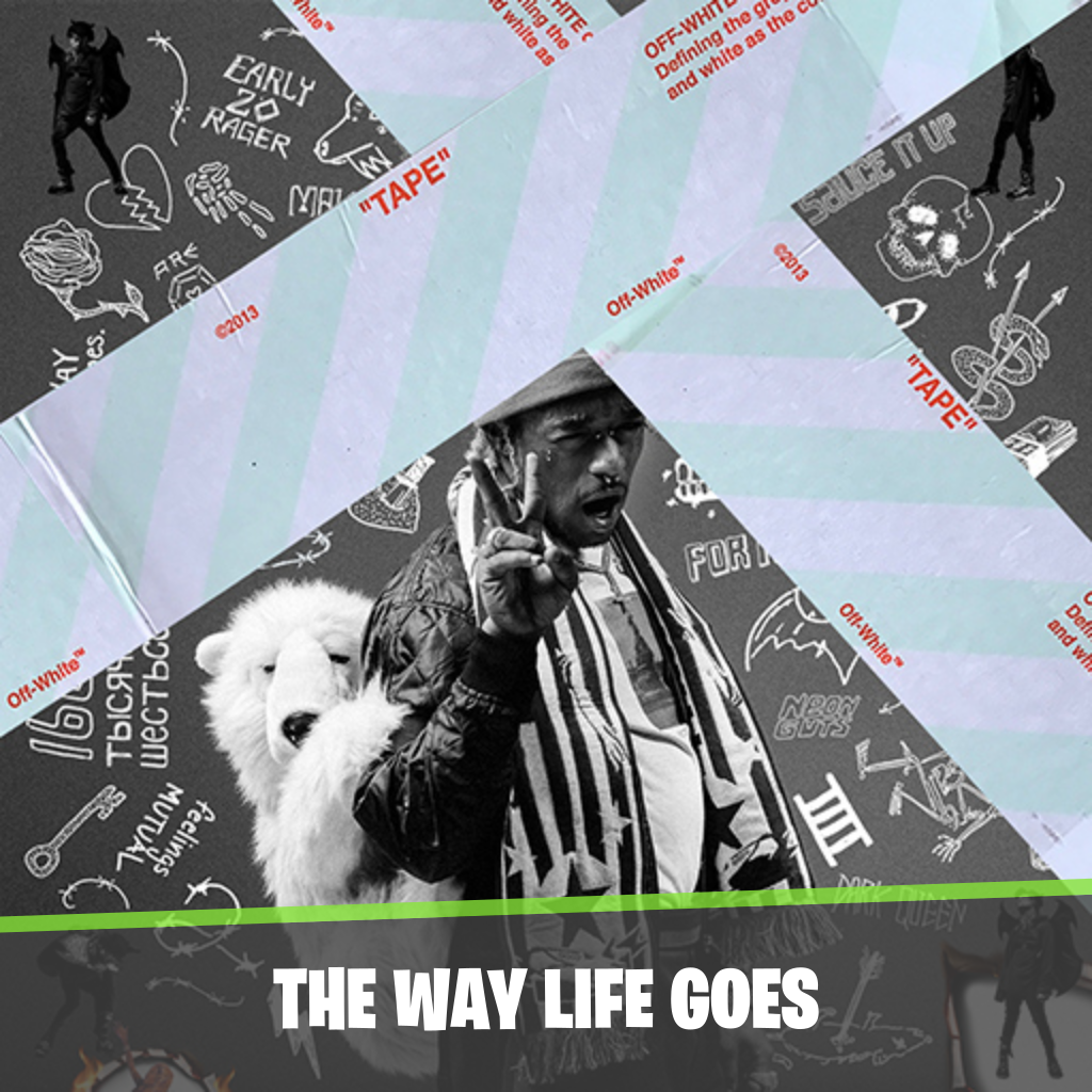 The Way Life Goes